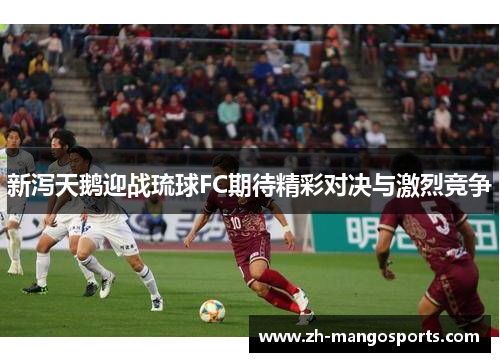 新泻天鹅迎战琉球FC期待精彩对决与激烈竞争